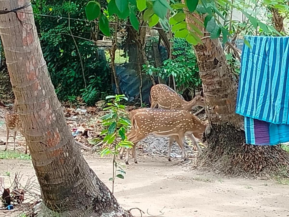 Priyanna Guest, Forest View Polonnaruwa Exterior foto